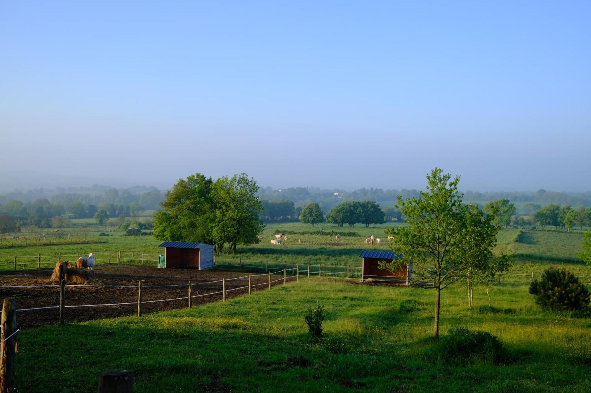 Les Chambres De La Forge Des Collines Les Herbiers Exterior foto