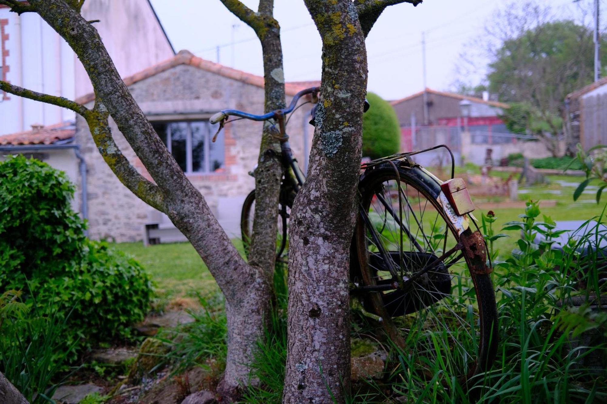 Les Chambres De La Forge Des Collines Les Herbiers Exterior foto